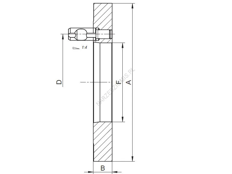 Rysunek techniczny: Tarcza zabierakowa nieobrobiona T.8242 125 ST3 (CAMLOCK) - BISON-BIAL